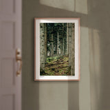 Just a classic scene