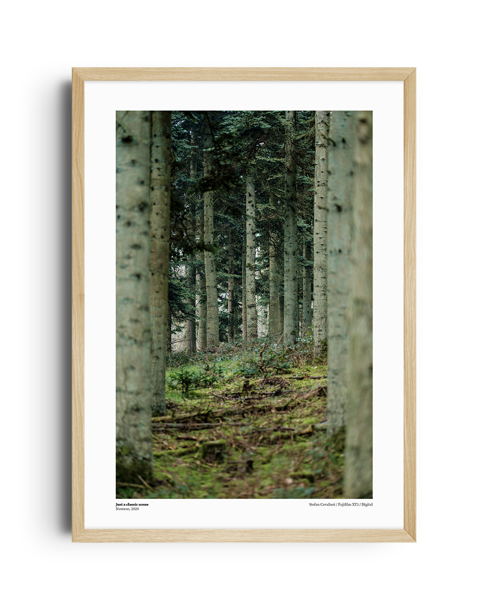 Fotografiske plakater The Original Poster Store