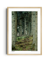 Just a classic scene